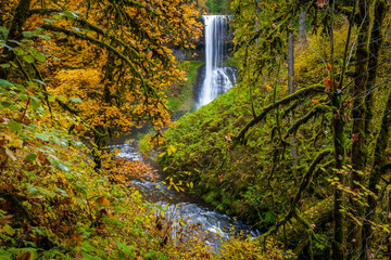 Beautiful Middle North Falls and Grotto in Fall at Silver Falls State Park