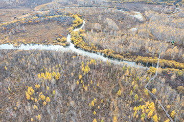 Aerial view of the autumn forest and river in the Shibawan scenic area of ​​Mohe, Greater Khingan Mountains.
