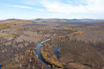 Aerial view of the autumn forest and river in the Shibawan scenic area of ​​Mohe, Greater Khingan Mountains.