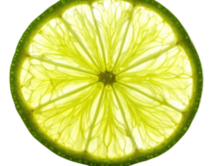 A translucent, backlit lime slice showcasing detailed internal segments and a vibrant green rind