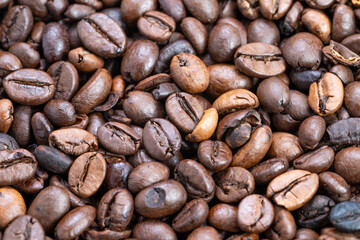 Single bean visuals, Highres farm coffee beans, Detailed images showcasing unique coffee bean features, Closeup photographs emphasizing surface and origin traits of beans