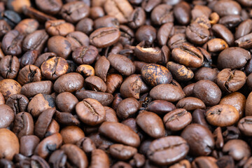 Dark brown seed repeating design, Seamless background with coffee beans and subtle shadows, Highquality coffee seed texture suitable for product presentation and branding