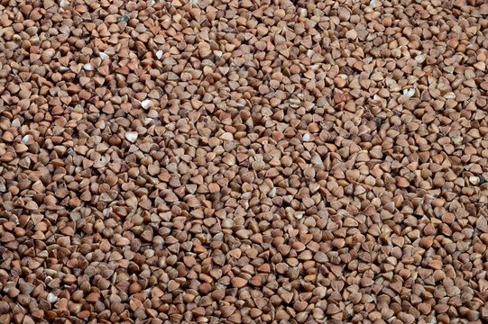 Abundant buckwheat grains forming textured surface, Storage of bulk buckwheat showcases dense triangular grains conveying agricultural abundance and harvest greatness