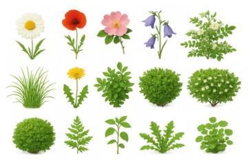 Various botanical elements creating a garden landscape, a collection of flowers, bushes, and greenery