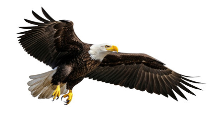 Obraz premium Majestic bald eagle in flight transparent background cutout png