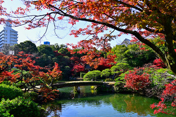 都会の楽園　神戸の相楽園の紅葉