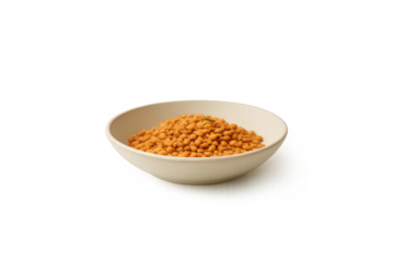 Bowl of crispy fried lentil savory indian snack served on transparent background, representing traditional food and appetizers