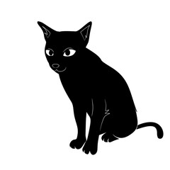 silhouette of a sitting cat 