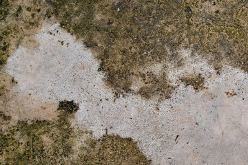 Concrete Texture with Moss and Stains