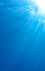 Underwater abstract background. ocean or sea surface seen from under blue water. Rays of light, abstract marine backdrop. Underwater Tropical Corals Reef with colorful sea fish. Marine life sea world.