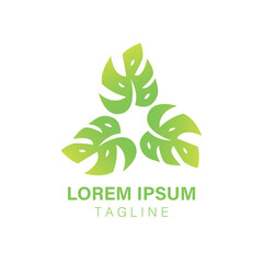 Vibrant tropical Monstera leaf logo design concept illustrating natural growth and botanical beauty for modern branding; a fresh and organic essence symbol