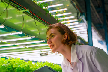 Scientist is working at vegetable production greenhouse.