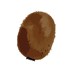 Watercolor and print-style kiwi fruit illustration
