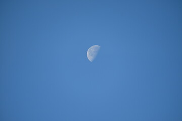 Crescent moon in the blue sky
