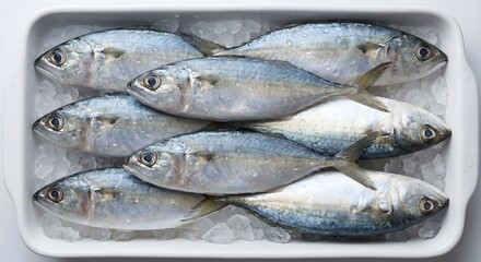 Obraz premium Fresh whole fish on ice in a white rectangular tray, ready for cooking or market display.