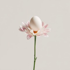Obraz premium An egg nestled in the petals of a delicate pink and white flower.