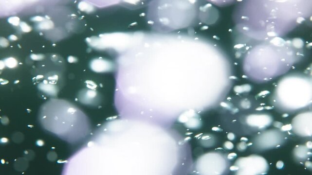 Bubbles rising through cold waters in Perc&eacute;, Quebec, underwater 4K 60FPS marine footage showcasing natural motion, currents, and cold-water ecosystem