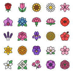 Large collection of colorful and common flower species icons, featuring roses, tulips, sunflowers, and other blossoms in a detailed flat design.