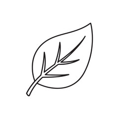Fototapeta premium Simple line leaf icon representing nature and sustainable environment. 