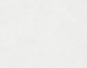 Obraz premium Ultra-Matte Fiber Washi Texture — Fine Organic Fibers with a Calm Monochrome Surface, Premium High-Resolution Minimal Japanese Background