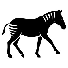 zebra  silhouette