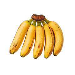 Bunch of ripening bananas ready to eat on a transparent background finish