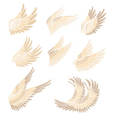 Vector set of bird wings. Collection of angel clip arts wings isolated of the background. Spiritual symbol of freedom