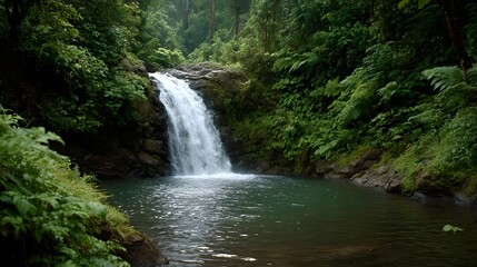 Obraz premium Lush green jungle waterfall cascading into a serene pool surrounded by dense vegetation