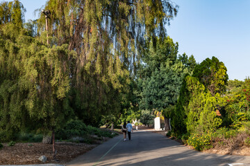  Los Angeles County Arboretum and Botanic Garden. Arcadia, California October