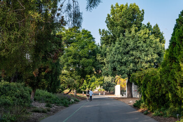  Los Angeles County Arboretum and Botanic Garden. Arcadia, California October