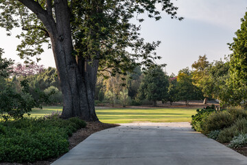  Los Angeles County Arboretum and Botanic Garden. Arcadia, California October