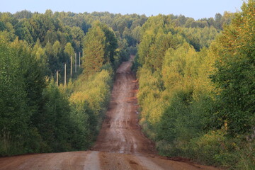 A dirt road in the beautiful dense forest of northeastern Europe on a sunny summer day