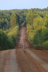 A dirt road in a dense, beautiful forest in northeastern Europe on a sunny late summer day