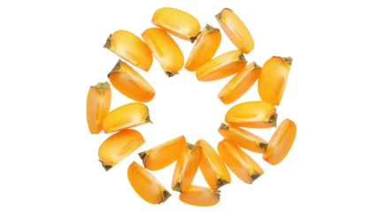 Vibrant orange persimmon slices arranged in a circle PNG isolated on transparent background, fresh fruit pieces for healthy eating and autumn designs