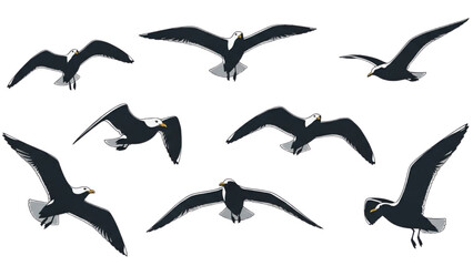 Diverse Illustrations of Seagulls in Flight Against a Clear Sky for Design