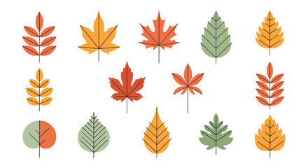 Obraz premium A colorful collection of fifteen autumn leaves is displayed in a modern flat design with some featuring simple line details on white.