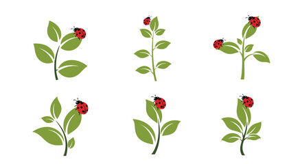 A charming set of six illustrations shows a single red ladybug resting on various green plant sprigs and leaves on a white background.