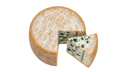 Delicious Fourme de Montbrison cheese wheel with a cut piece isolated PNG, creamy blue cheese with mold for gourmet food and culinary use