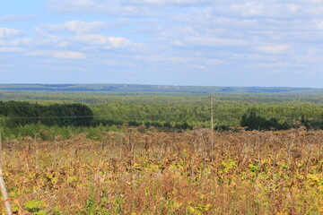 Fototapeta premium A landscape of fields and forests in northeastern Europe on a sunny day in late summer