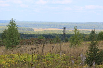 landscape with trees