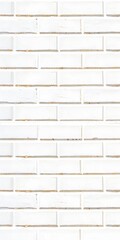 White subway tile wall with subtle texture and grout lines creating a clean aesthetic look