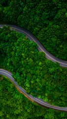 Winding road through lush green forest aerial view capturing the essence of nature's beauty and serenity