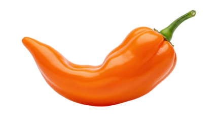 Vibrant orange Habanero pepper PNG isolated on transparent background, spicy ingredient for cooking and culinary use