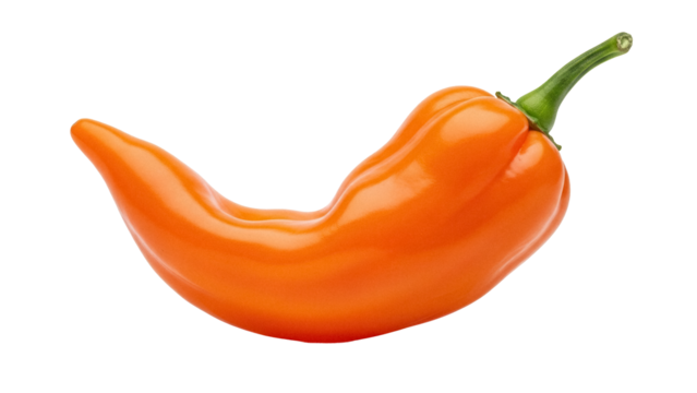 Vibrant orange Habanero pepper PNG isolated on transparent background, spicy ingredient for cooking and culinary use