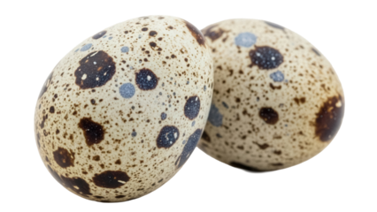 Two quail eggs PNG isolated on transparent background, speckled brown and beige eggs for Easter and culinary themes
