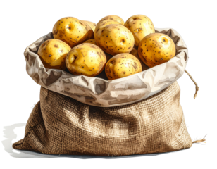 Transparent PNG available potatoes in a bag clipart png image on transparent background 