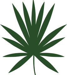 Green Tropical Leaf Botanical Vector Illustration.