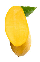 Single ripe yellow mango fruit and a half with green leaves and water droplets in stack isolated with clipping path in png file format