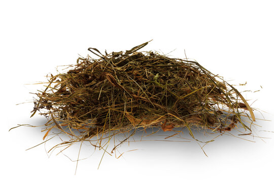 Hay isolated on transparent background