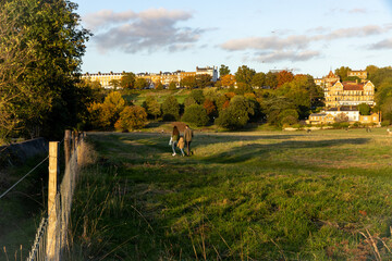 Family walking through Petersham Meadows toward Richmond Hill and Terrace Gardens on an autumn afternoon